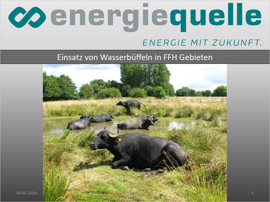 energiequelle - Energie mit Zukunft